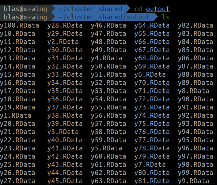 Listing outputs in the shared folder