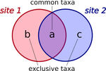 Designing R Functions to Compute Betadiversity Indices