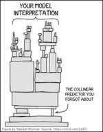 Multicollinearity Hinders Model Interpretability