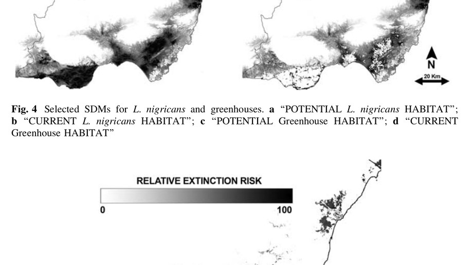 Assessing extinction-risk of endangered plants using species distribution models: a case study of habitat depletion caused by the spread of greenhouses