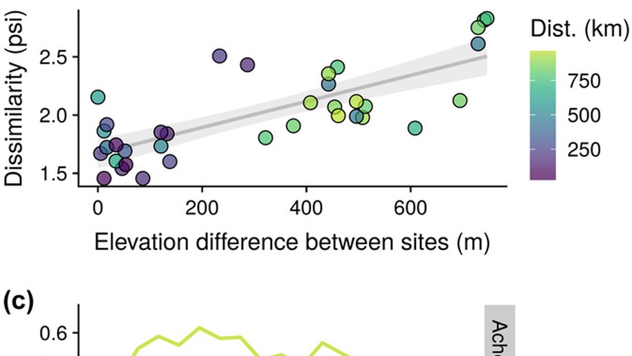 distantia: an open‐source toolset to quantify dissimilarity between multivariate ecological time‐series