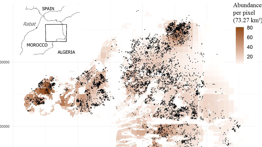 Density-dependence of reproductive success in a Houbara bustard population.