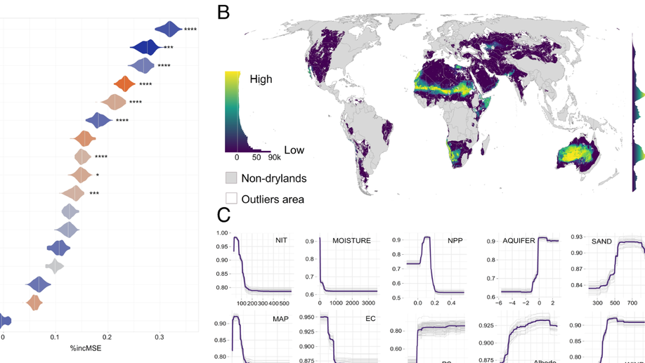 The global biogeography and environmental drivers of fairy circles